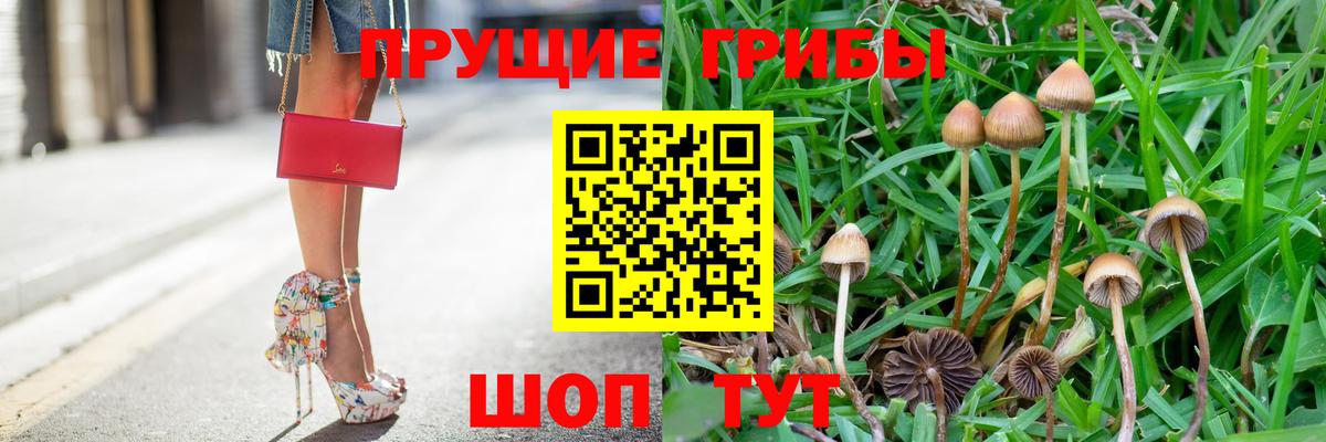 Галлюциногенные грибы мицелий Артём