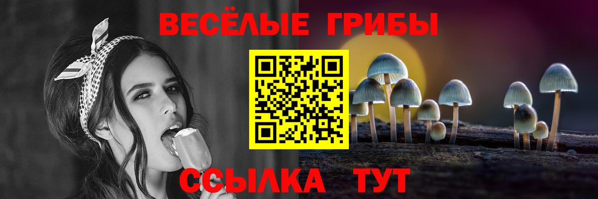 Псилоцибиновые грибы Cubensis  купить наркоту  Артём  Вход с VPN 